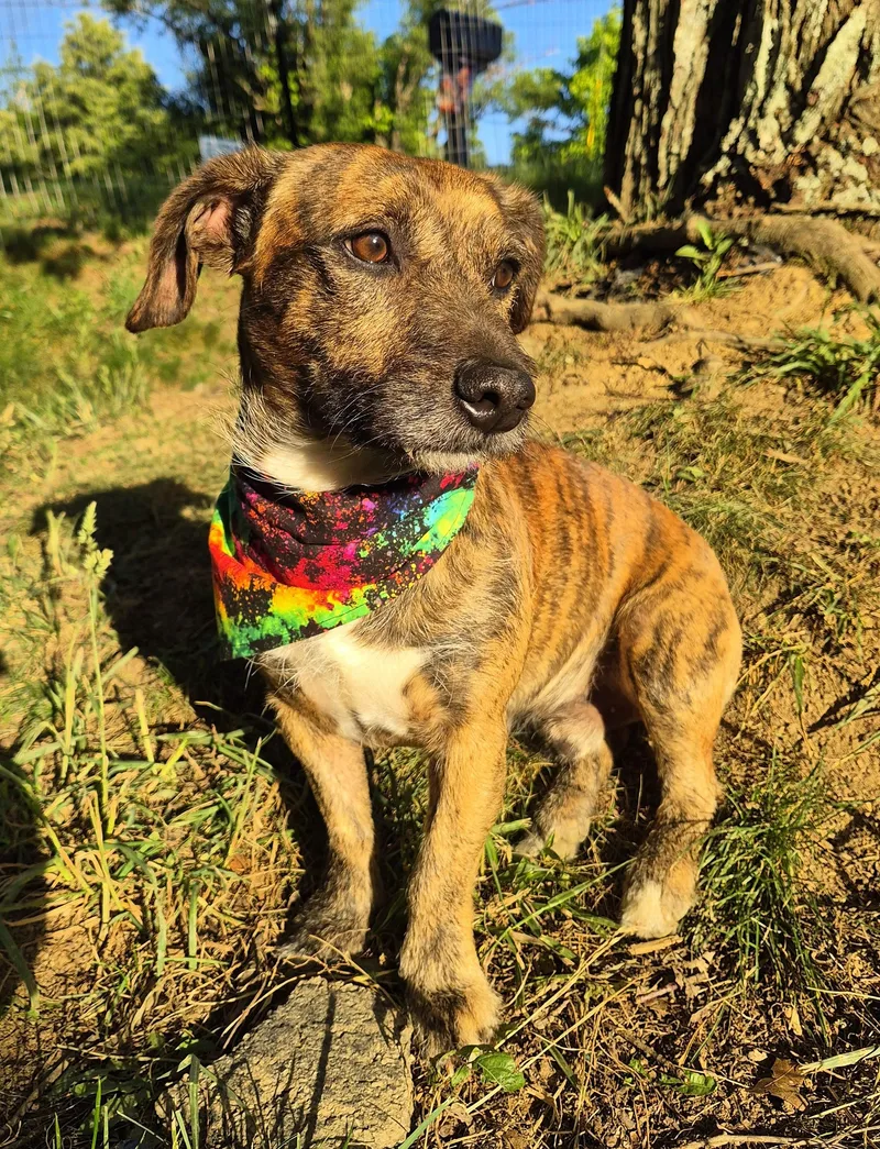 Max In Tn