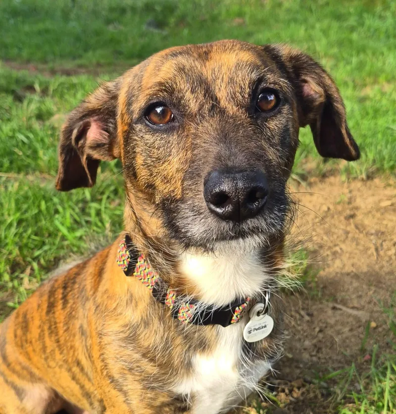 Max In Tn thumbnail 2