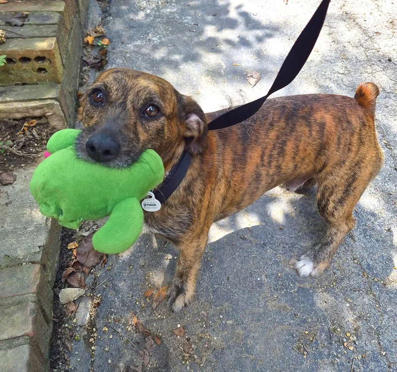 Max In Tn thumbnail 3