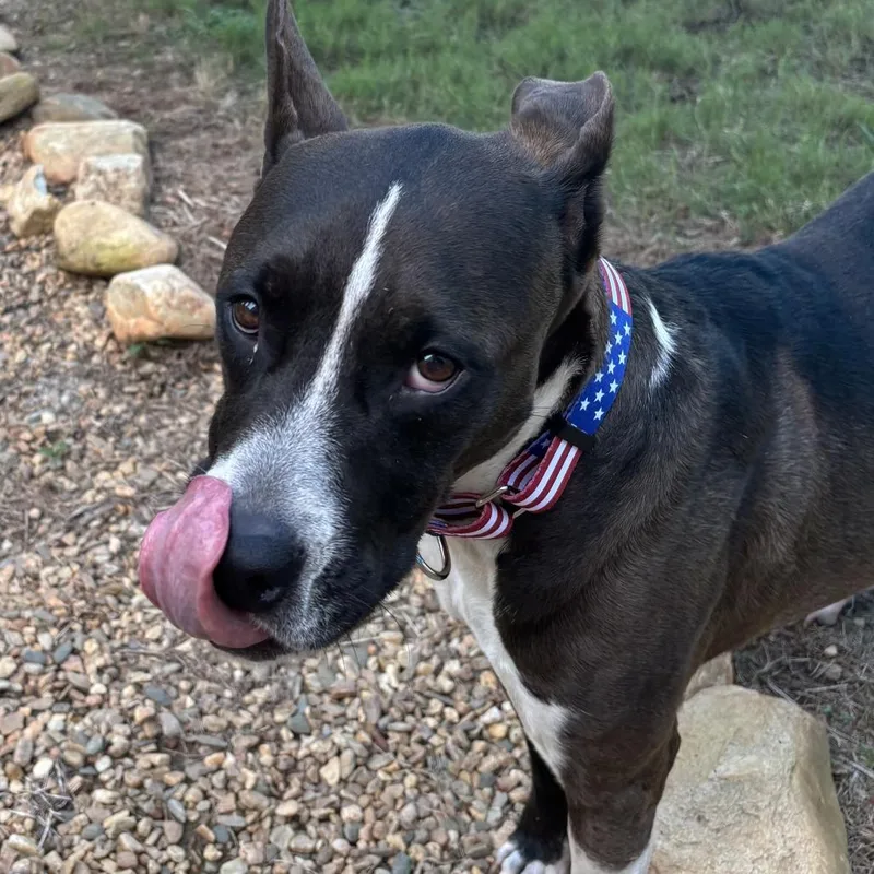 Keisha