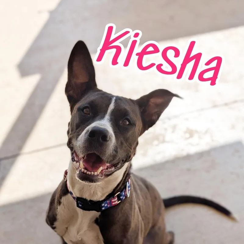 Keisha thumbnail 6