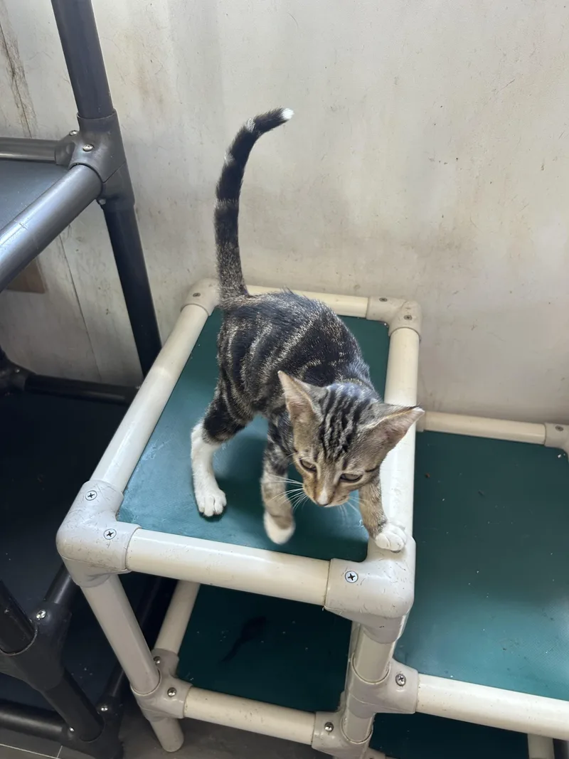 Kendrick thumbnail 4