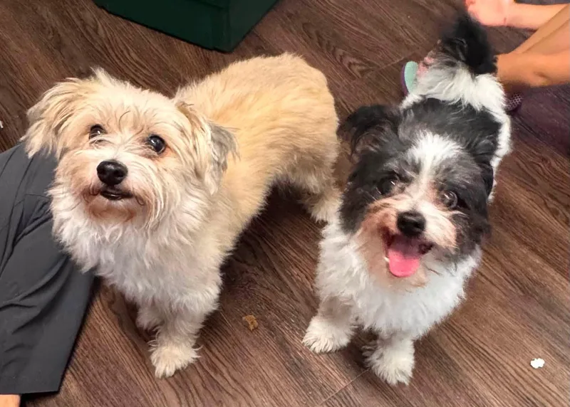Jelly and Spunky