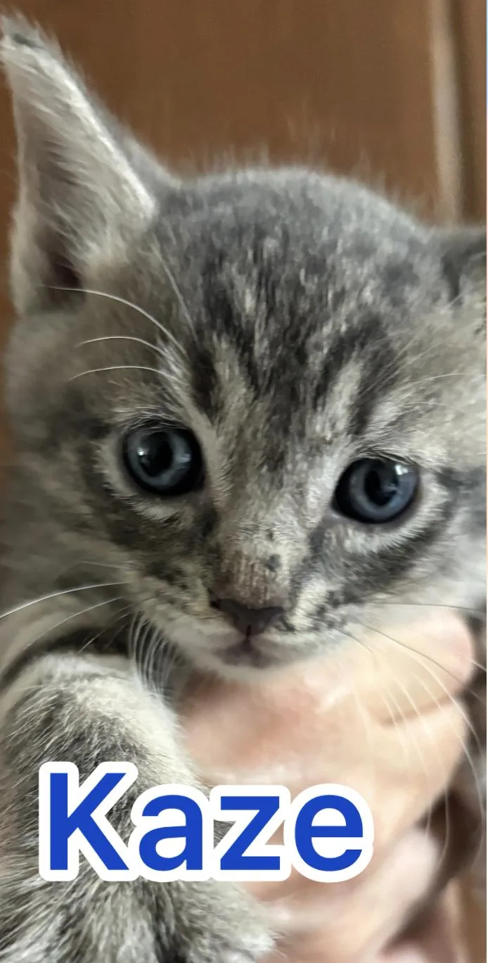 Sora thumbnail 2