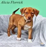 Alicia Florrick thumbnail 3