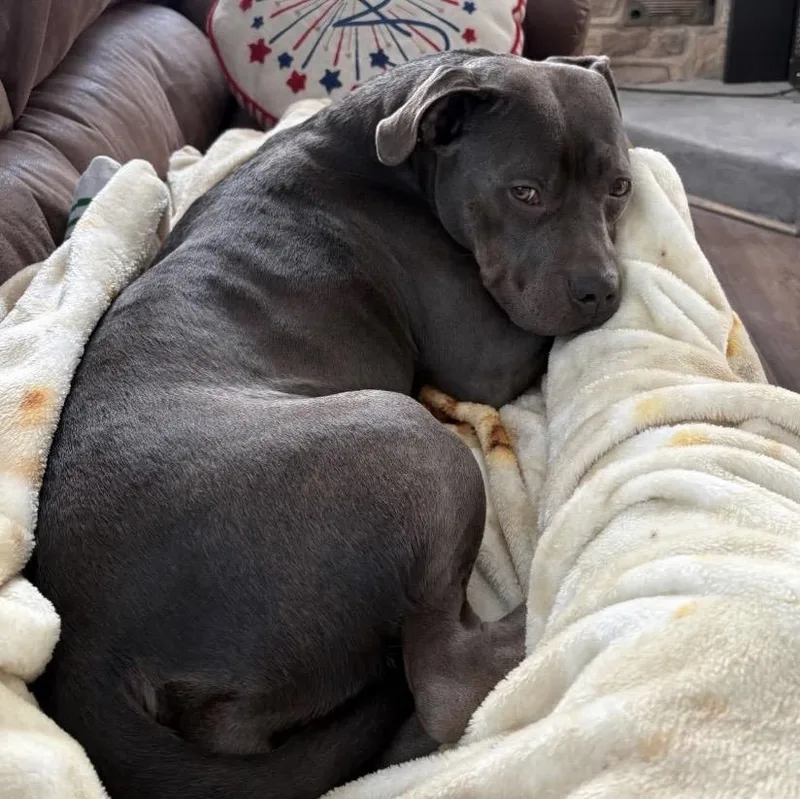 Baby Girl thumbnail 2