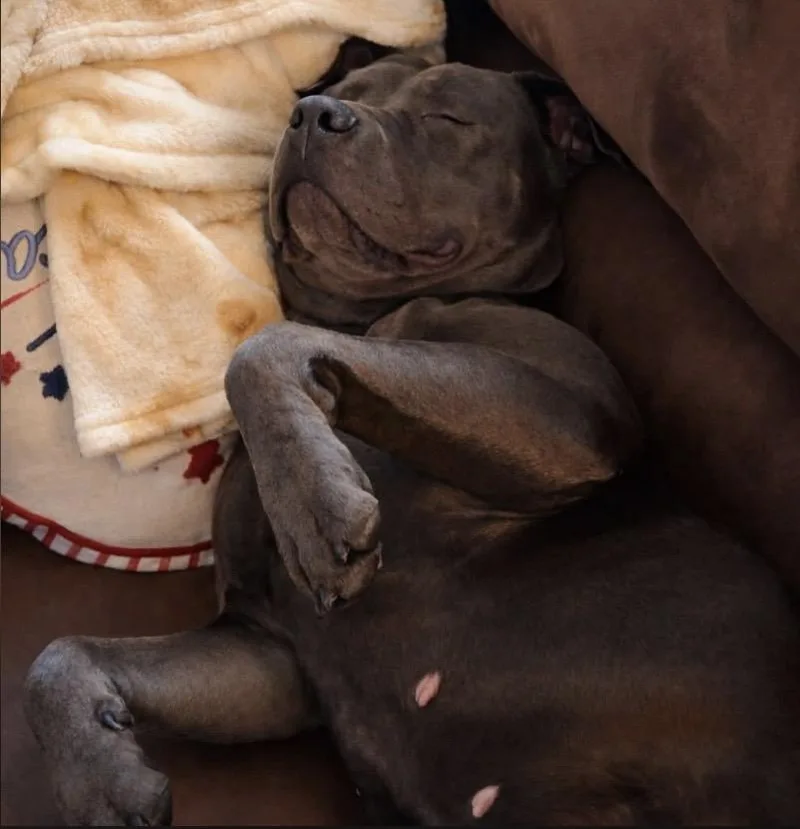 Baby Girl thumbnail 3