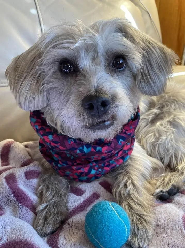 Steffie  Plunkett thumbnail 3