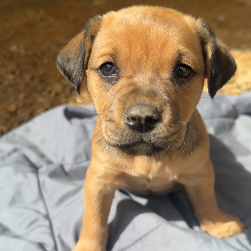 Spaghetti thumbnail 2