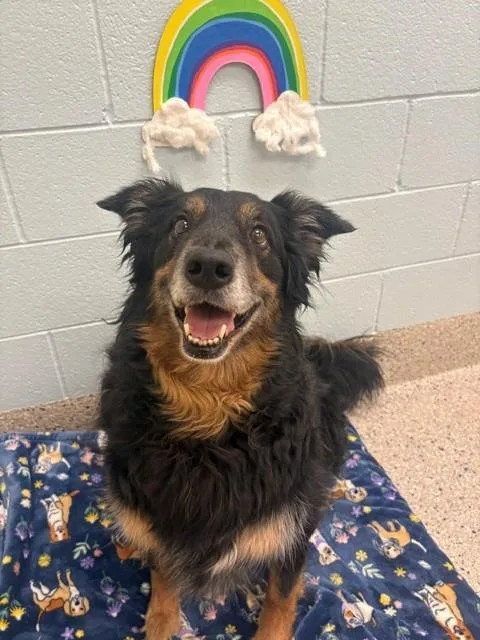 Roscoe
