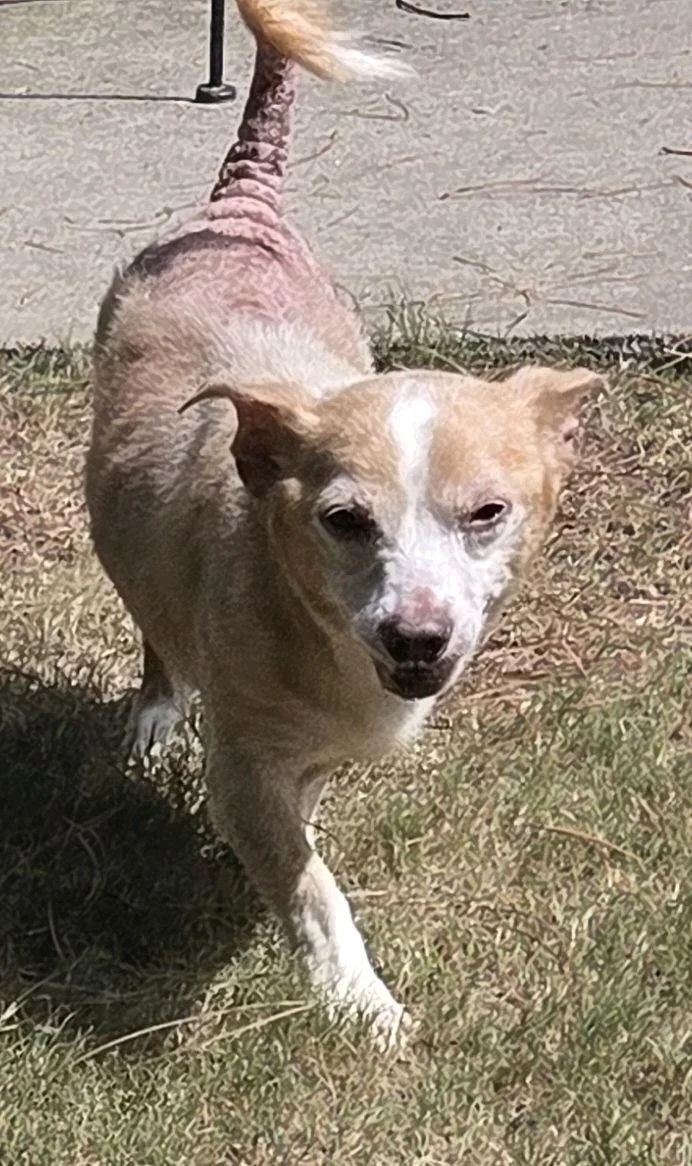 Milo