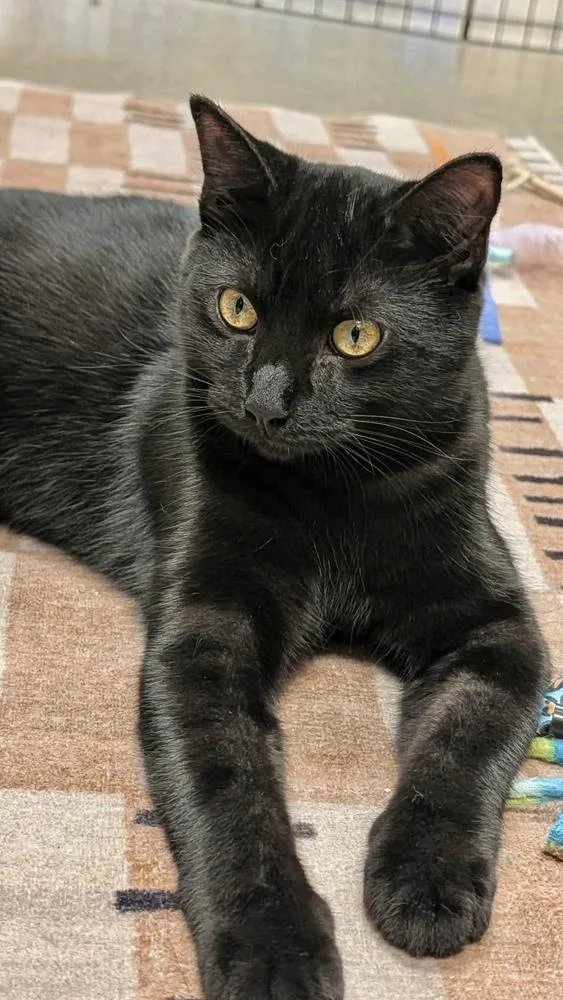 Wave thumbnail 2