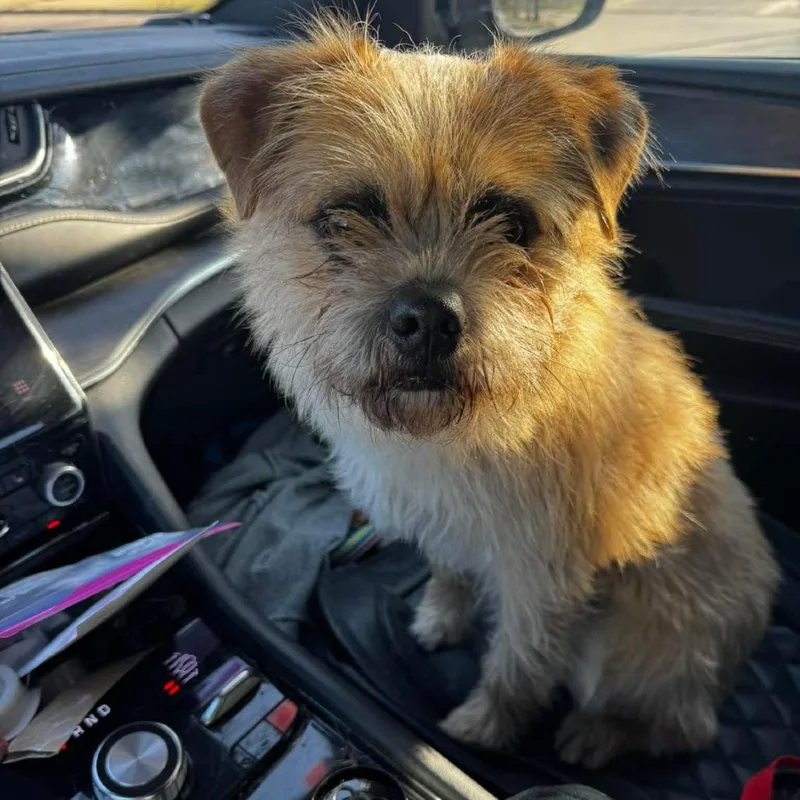 Uncle Martin thumbnail 2