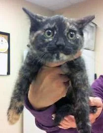 Florence `flo` thumbnail 2