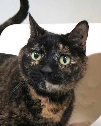 Florence `flo` thumbnail 3