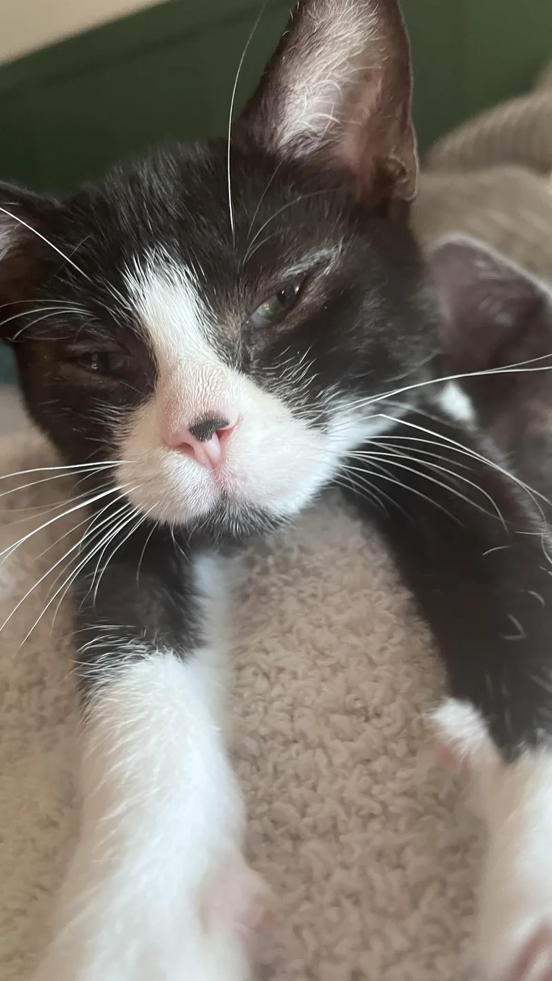 Freddie thumbnail 2