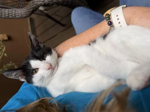 Peppercorn and Nutmeg thumbnail 2