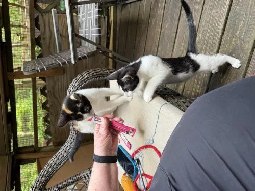 Peppercorn and Nutmeg thumbnail 4