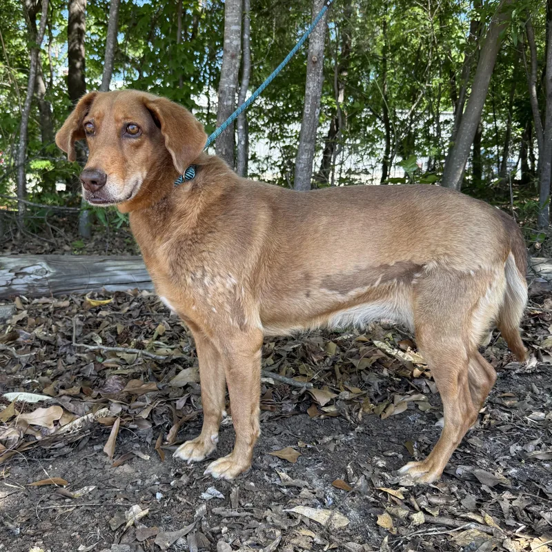 Ellaminnow thumbnail 3