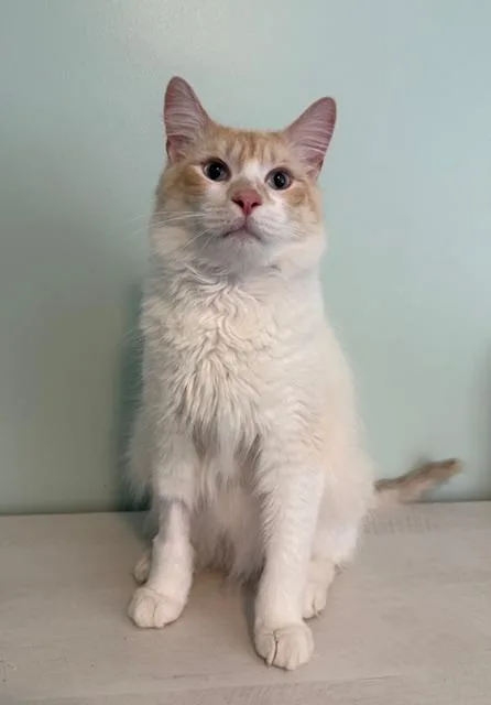 Cap'n Crunch thumbnail 3