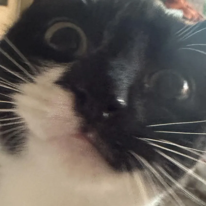 Kiki  F thumbnail 2