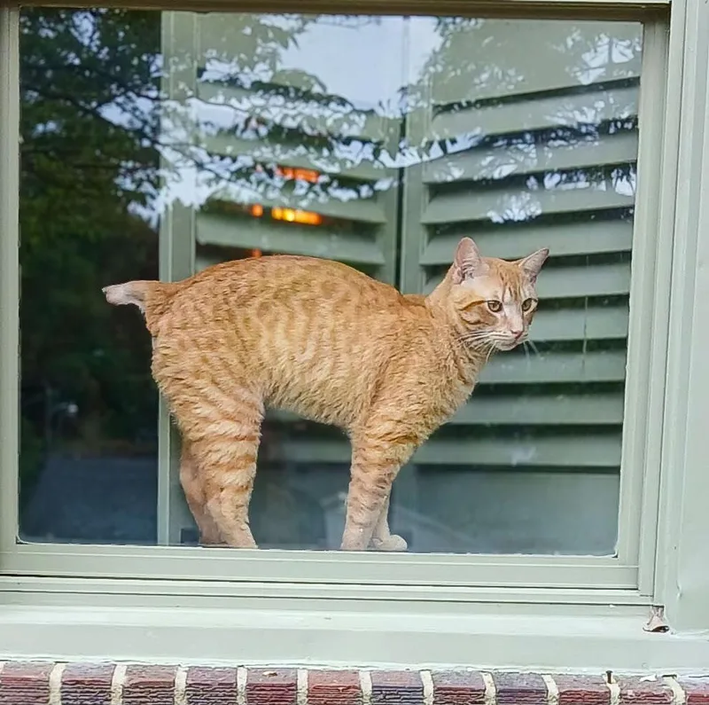 Little One thumbnail 2