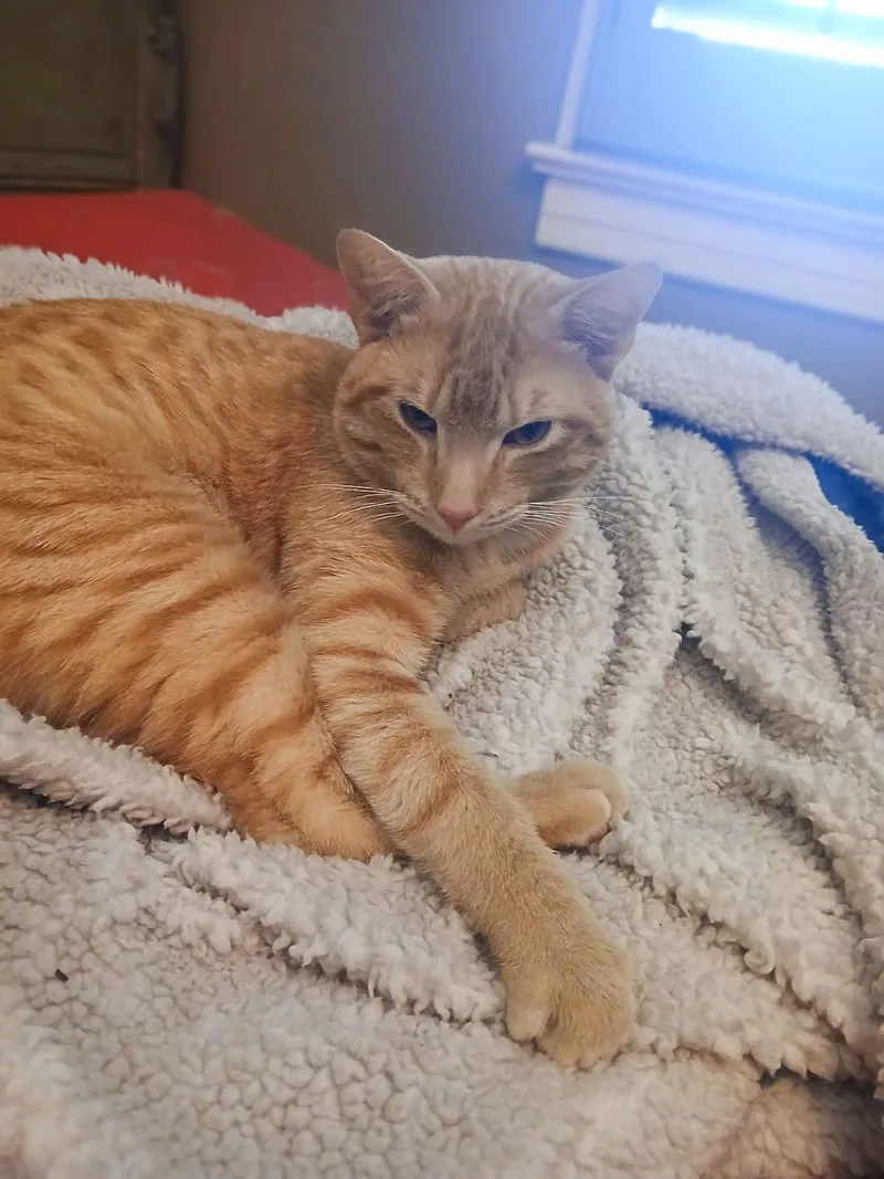 Little One thumbnail 3