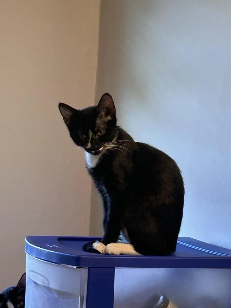 Hurricane thumbnail 2