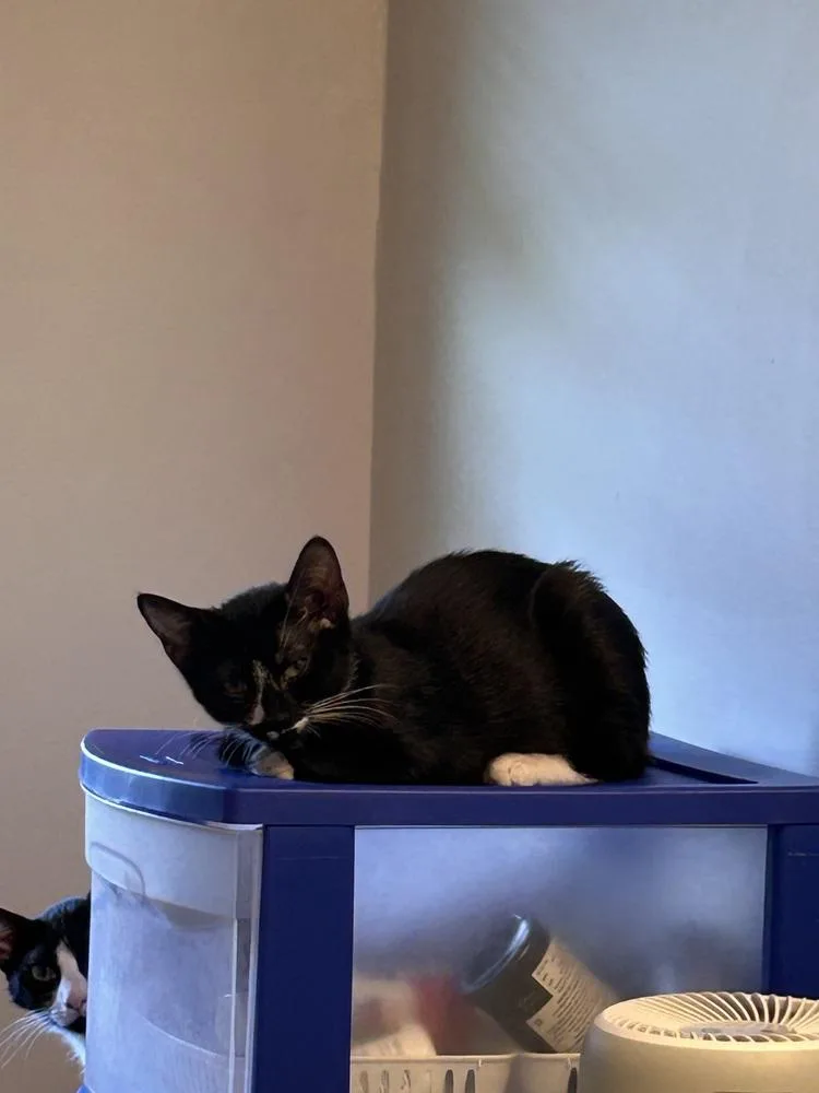 Hurricane thumbnail 3