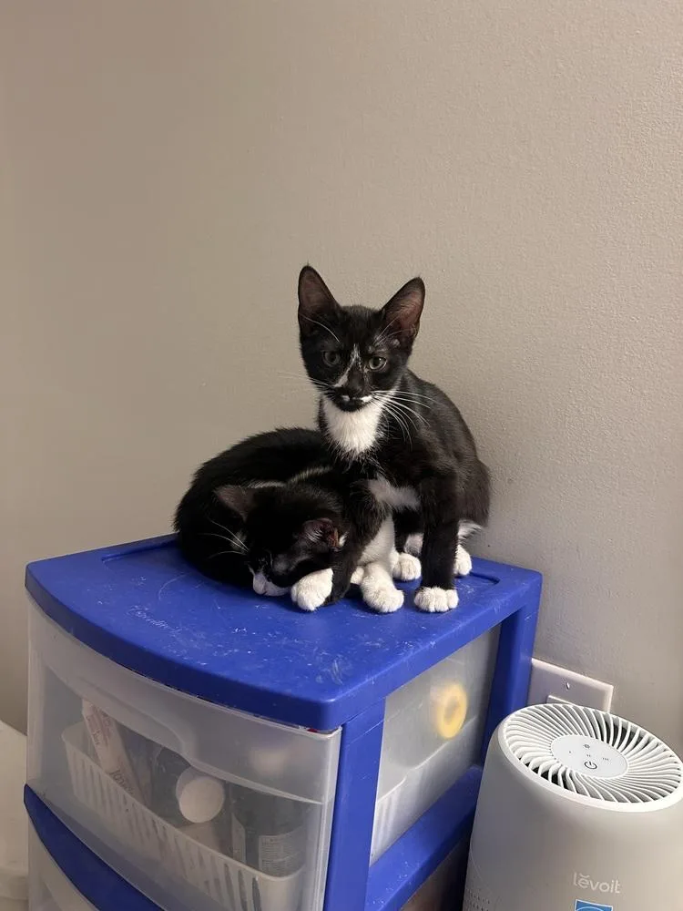 Hurricane thumbnail 4