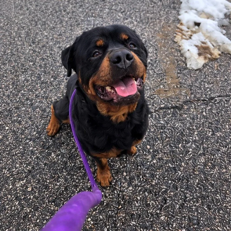 Zeus Franklin thumbnail 2