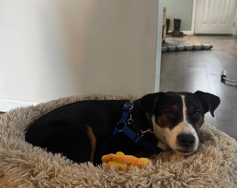 Josh  In Maine thumbnail 2