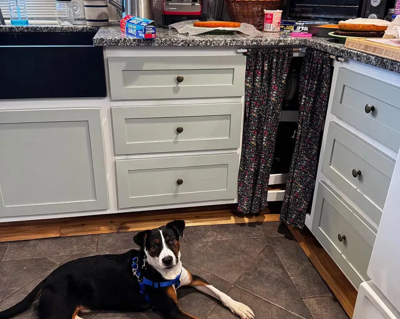 Josh  In Maine thumbnail 3