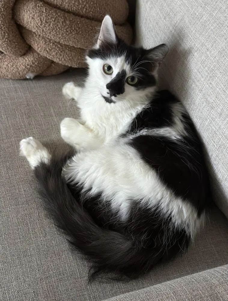 Marguerite Sc thumbnail 2