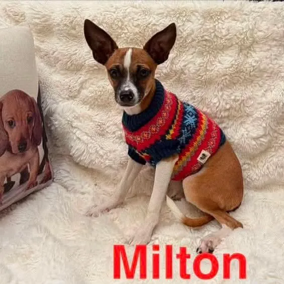 Milton Arriving D