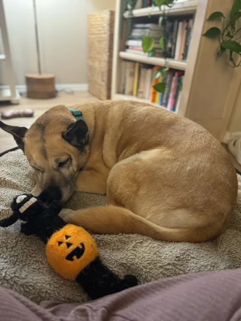 Opal Gem thumbnail 2