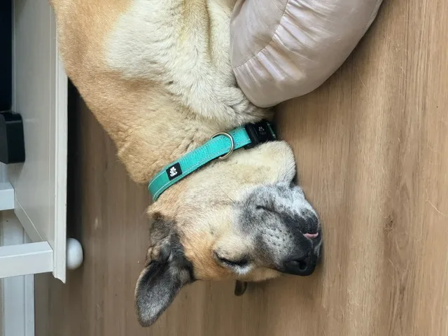 Opal Gem thumbnail 5