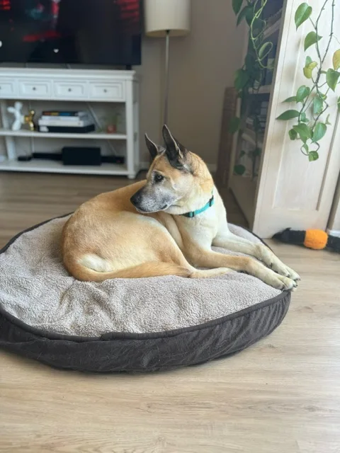 Opal Gem thumbnail 6