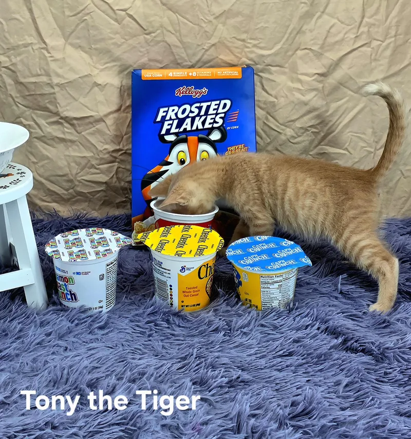Tony The Tiger thumbnail 5