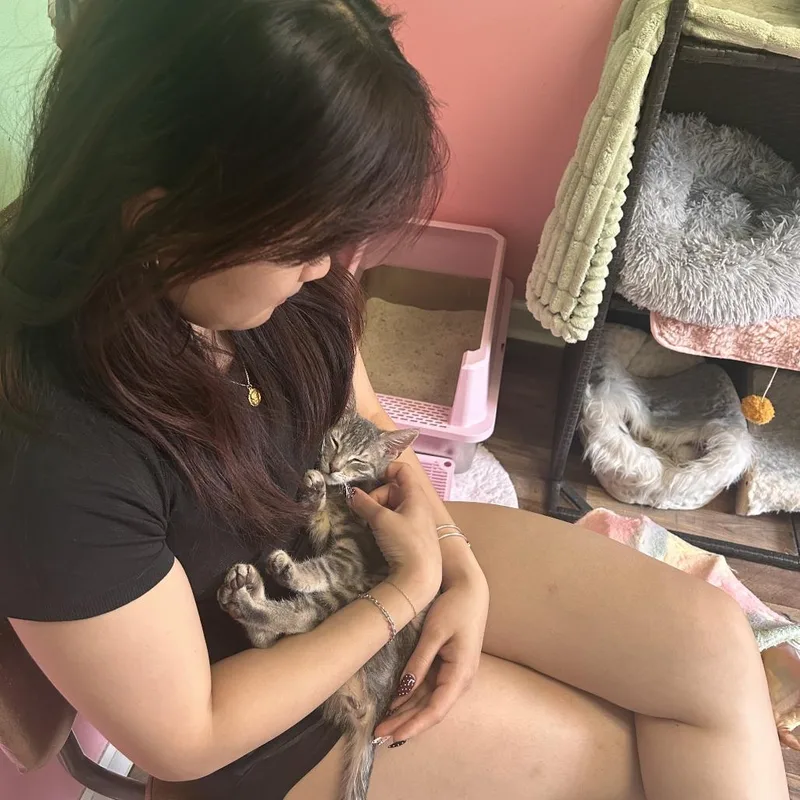 Tiny thumbnail 2