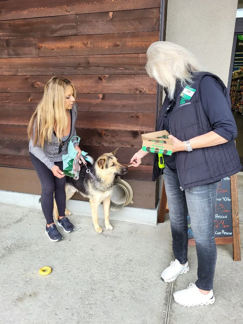 Chance  Kind Gentle thumbnail 6