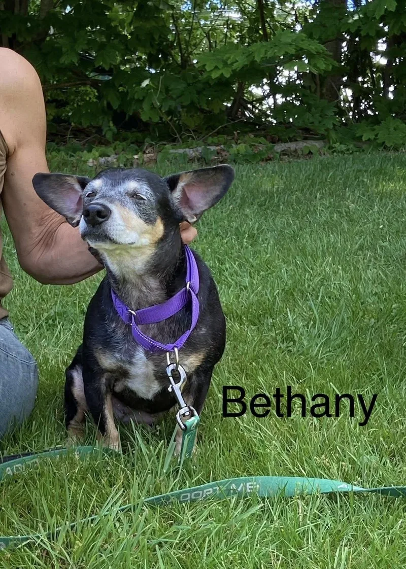 Bethany thumbnail 3