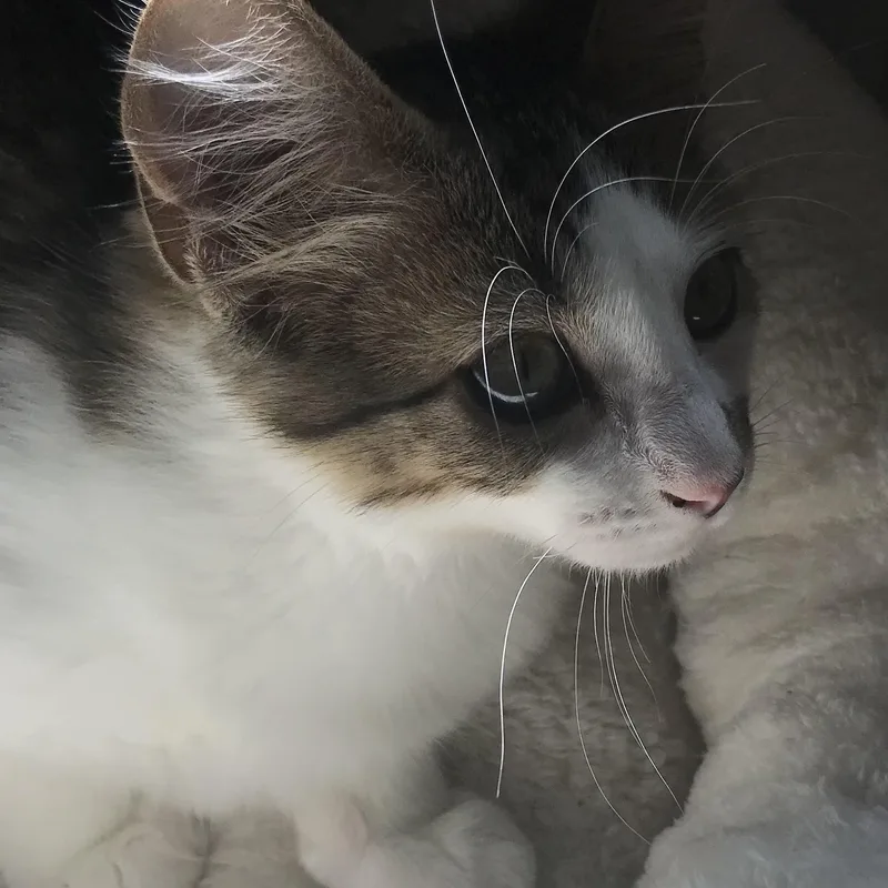 Murray thumbnail 2