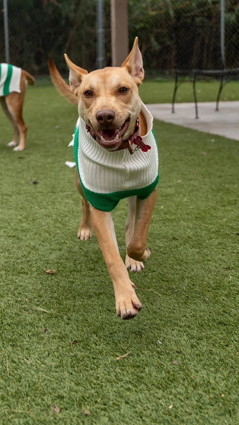 Mary Jay thumbnail 4