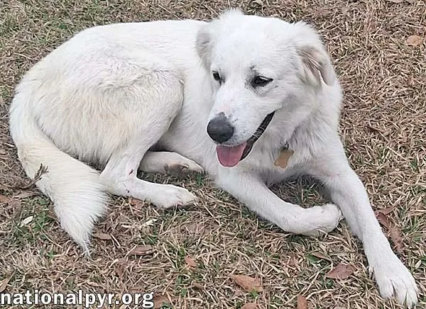 Johanna In La  thumbnail 2