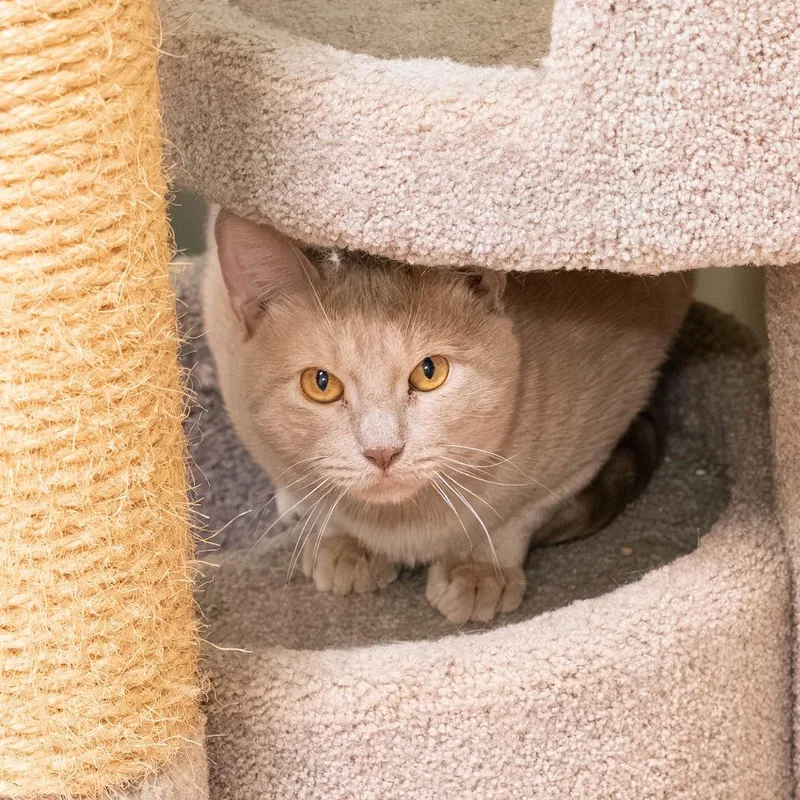 Harry Bonded To Prince thumbnail 2