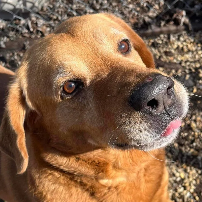 Fender Fka Jazzmaster thumbnail 2