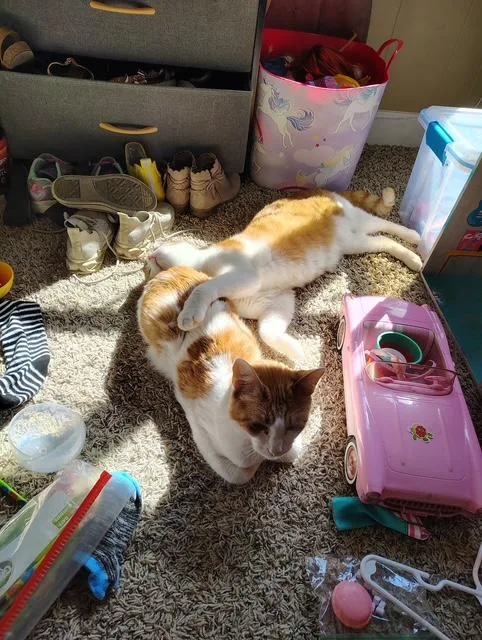 Ray & Lee thumbnail 2