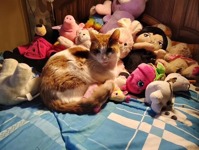 Ray & Lee thumbnail 3