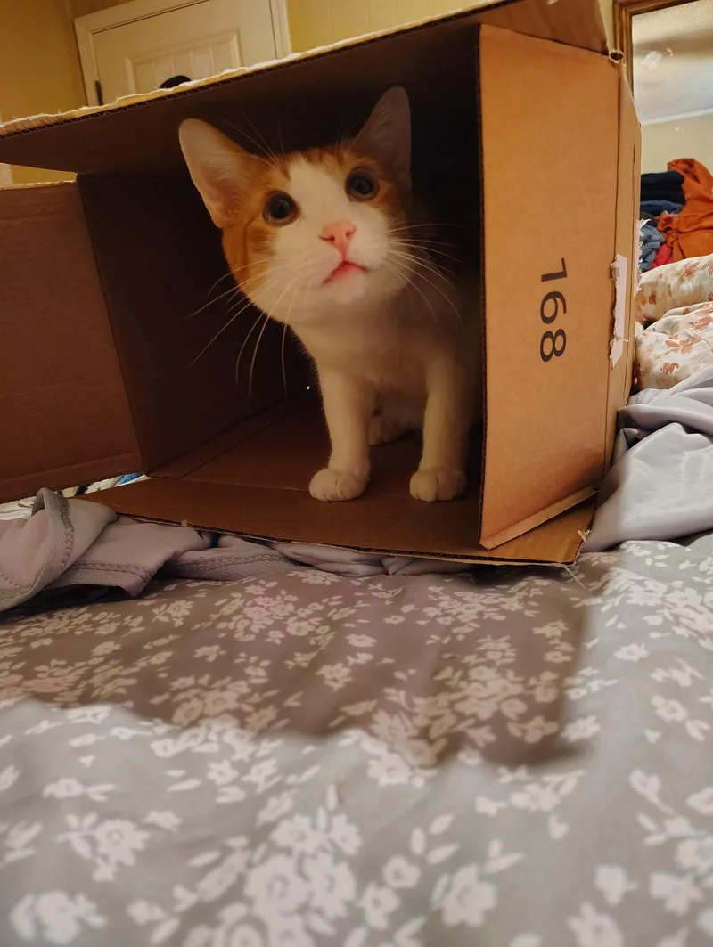 Ray & Lee thumbnail 4